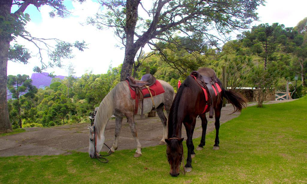 Pousada Marco Polo Campos do Jordao Bagian luar foto